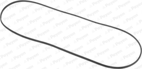 Payen JN707 - Gasket, cylinder head cover car-mod.net