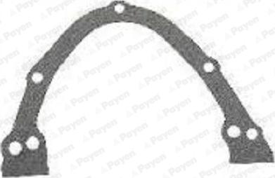 Payen JR596 - Timing Case Gasket, engine timing car-mod.net