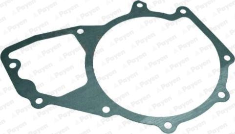 Payen KA5038 - Gasket, water pump car-mod.net