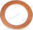Payen KG5346 - Seal Ring, oil drain plug car-mod.net