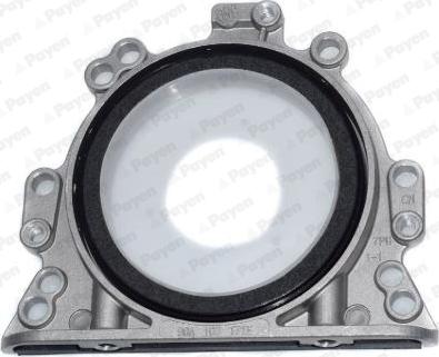 Payen LK5003 - Shaft Seal, crankshaft car-mod.net