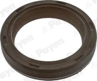 Payen NA5499 - Shaft Seal, crankshaft car-mod.net