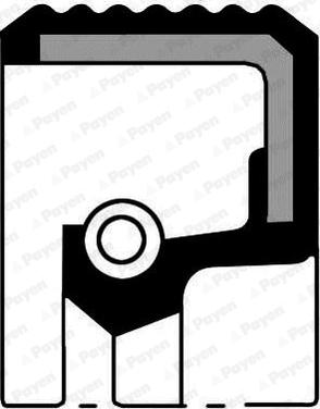 Payen NA5449 - Shaft Seal, manual transmission car-mod.net