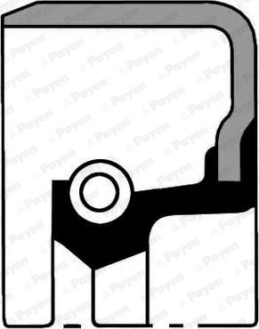 Payen NA5468 - Shaft Seal, manual transmission car-mod.net