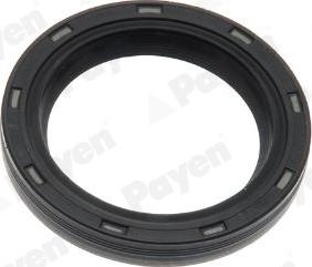 Payen NA5500 - Shaft Seal, crankshaft car-mod.net