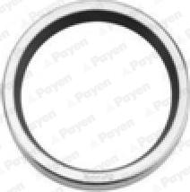 Payen NA5357 - Gasket, thermostat car-mod.net