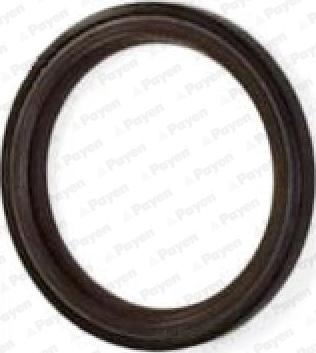 Payen NA5317 - Shaft Seal, camshaft car-mod.net