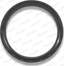Payen NA5298 - Shaft Seal, crankshaft car-mod.net
