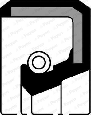 Payen NJ399 - Shaft Seal, manual transmission car-mod.net