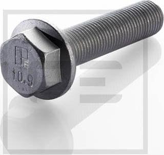 PE Automotive 010.170-00A - Bolt of Brake Disc car-mod.net