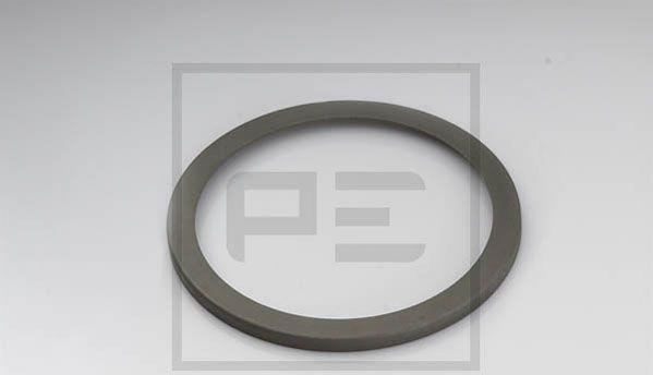 PE Automotive 011.093-00A - Cover Plate, dust-cover wheel bearing car-mod.net