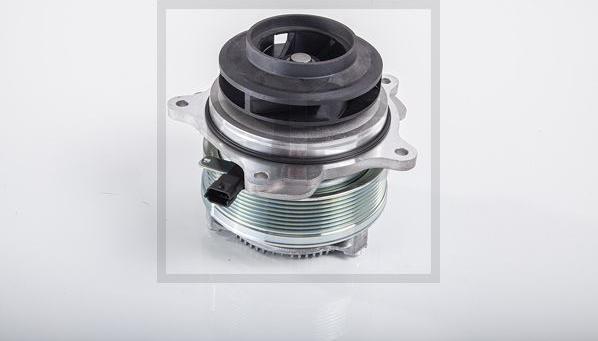 PE Automotive 100.161-00A - Water Pump car-mod.net