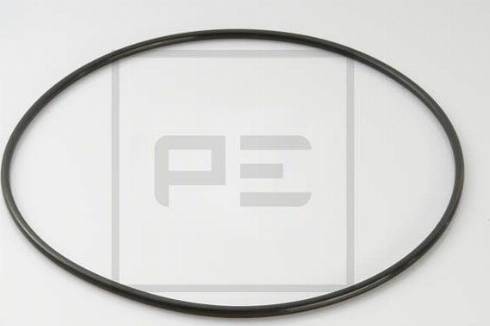 PE Automotive 120.419-00A - Seal Ring car-mod.net