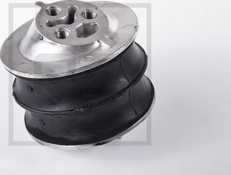 PE Automotive 120.196-00A - Holder, engine mounting car-mod.net