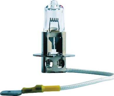 PHILIPS 13336 - Bulb, fog light car-mod.net