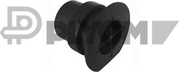 PLYOM P952138 - Sealing Plug, coolant flange car-mod.net