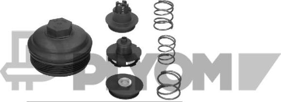 PLYOM P462550 - Cap, oil filter housing car-mod.net