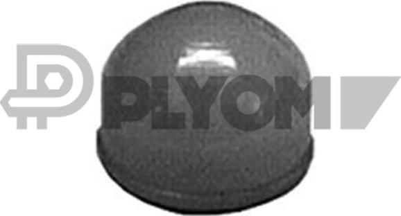 PLYOM P010615 - Repair Kit, gear lever car-mod.net