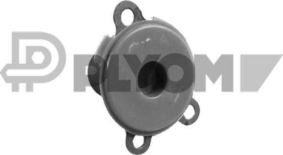 PLYOM P758970 - Guide Tube, clutch car-mod.net