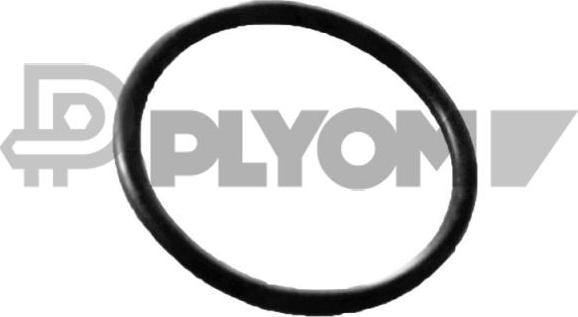 PLYOM P758563 - Seal, coolant tube car-mod.net
