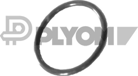 PLYOM P758519 - Seal, coolant tube car-mod.net