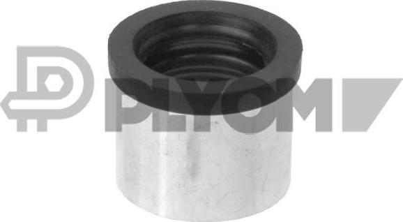 PLYOM P767526 - Hose, crankcase breather car-mod.net