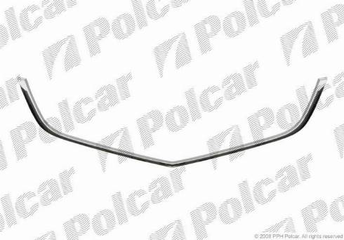 CARRO 028904545 - Trim / Protective Strip, radiator grille car-mod.net
