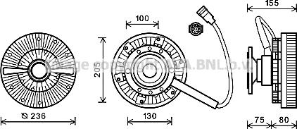 Prasco DFC046 - Clutch, radiator fan car-mod.net