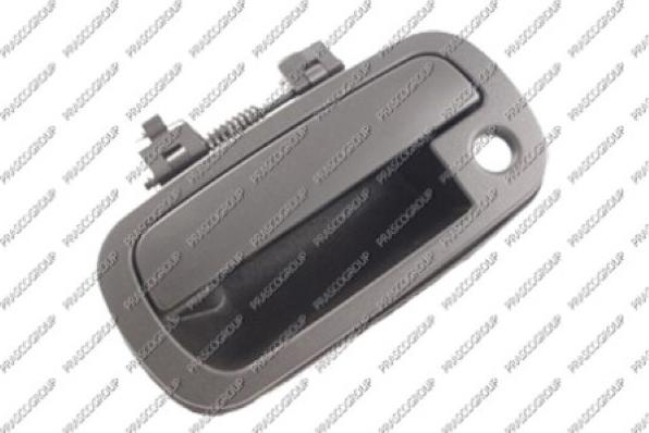 Prasco DS8108002 - Door Handle car-mod.net