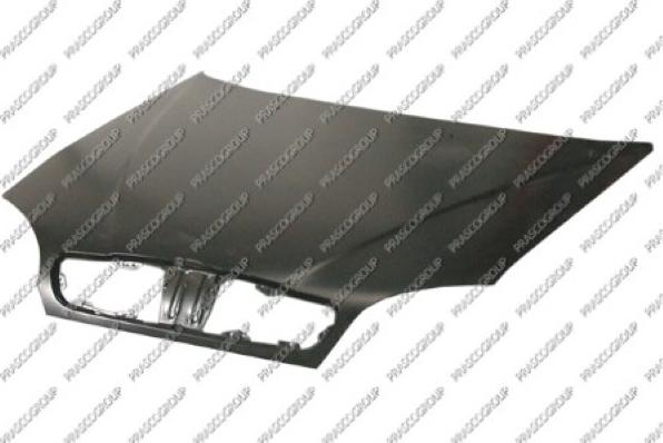 Prasco DW0203100 - Bonnet, hood car-mod.net