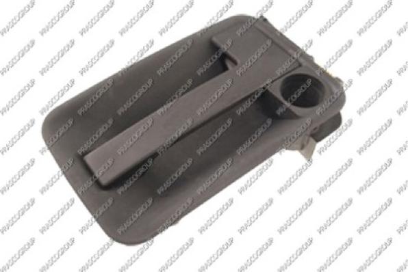 Prasco FT9218301 - Door Handle car-mod.net