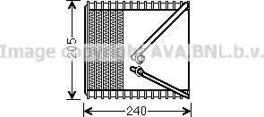 Prasco FTV381 - Evaporator, air conditioning car-mod.net