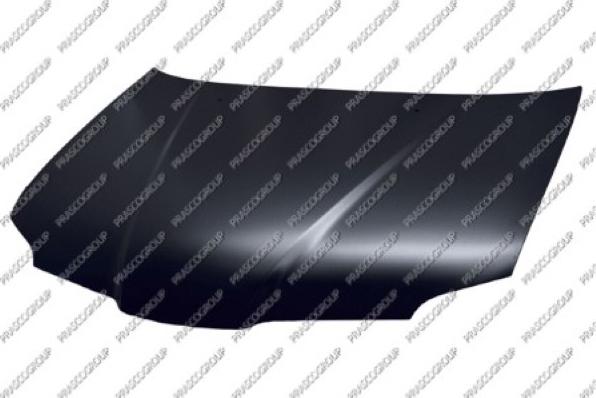 CARRO 080100070 - Bonnet, hood car-mod.net