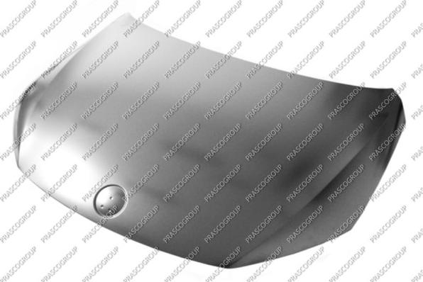 CARRO 062600070 - Bonnet, hood car-mod.net