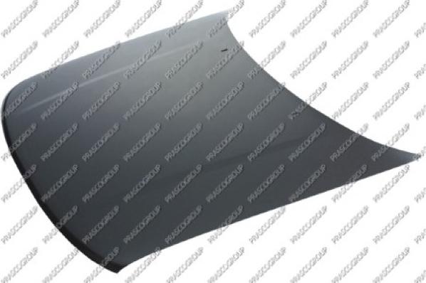 Prasco VG0513100 - Bonnet, hood car-mod.net