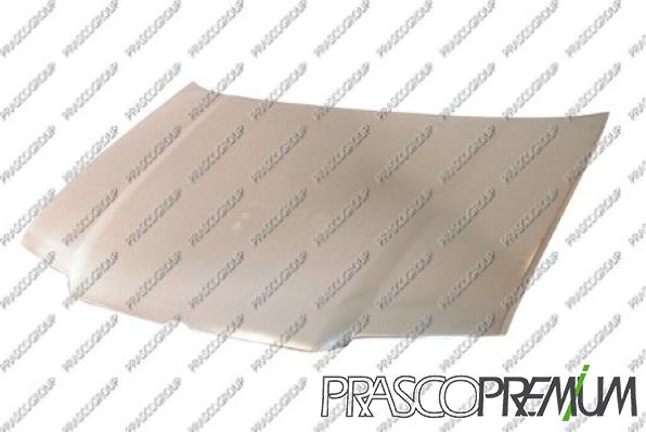 CARRO 098400070 - Bonnet, hood car-mod.net