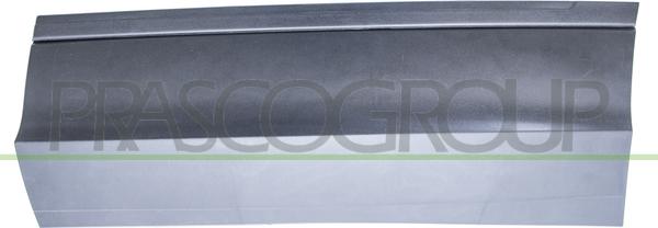 CARRO 889106592 - Trim / Protective Strip, door car-mod.net