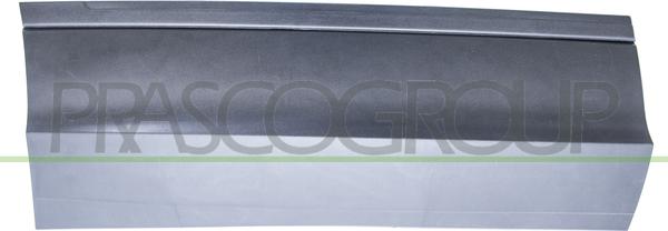 CARRO 889106591 - Trim / Protective Strip, door car-mod.net