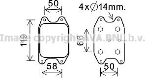 Prasco VN3394 - Oil Cooler, engine oil car-mod.net