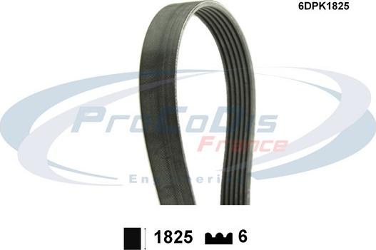 Procodis France 6DPK1825 - V-Ribbed Belt car-mod.net