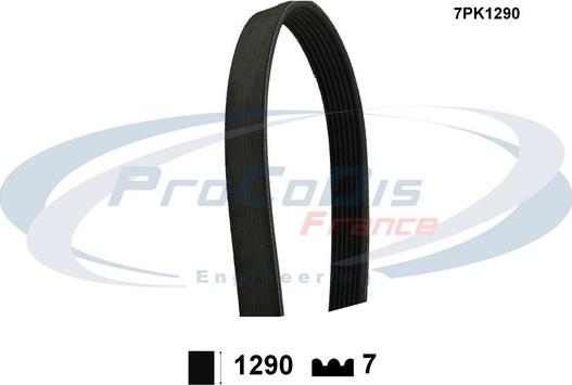 Procodis France 7PK1290 - V-Ribbed Belt car-mod.net
