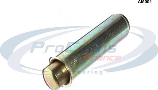 Procodis France AM001 - Vibration Damper, timing belt car-mod.net