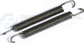 Professional Parts 51343879 - Timing Chain car-mod.net