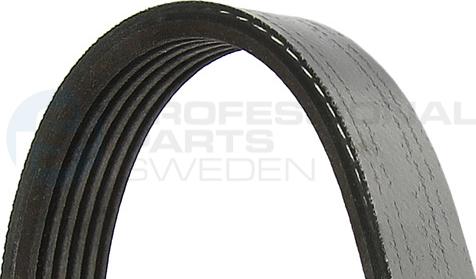 Professional Parts 6PK1623G - V-Ribbed Belt car-mod.net