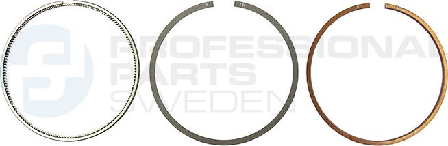 Professional Parts 21343555 - Piston Ring Kit car-mod.net