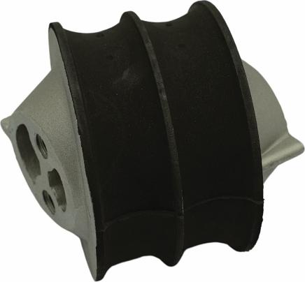 QAP S12011 050406 - Holder, engine mounting car-mod.net