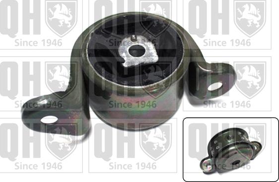 Quinton Hazell EM1920 - Holder, engine mounting car-mod.net