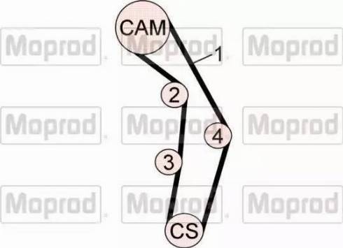 Quinton Hazell MBPK6250 - Water Pump & Timing Belt Set car-mod.net