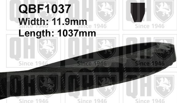 Quinton Hazell QBF1037 - Drive belt, V-Belt car-mod.net