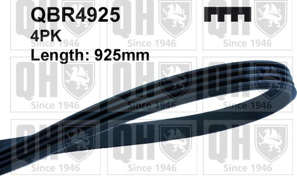 Quinton Hazell QBR4925 - V-Ribbed Belt car-mod.net